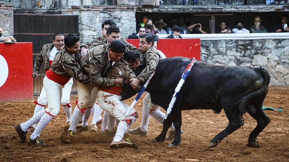 Cortesía Tauro Espectáculos (3)