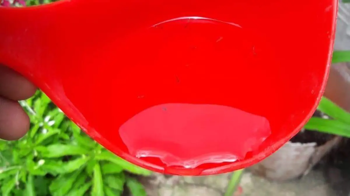 sjr Personal de la dependencia realiza