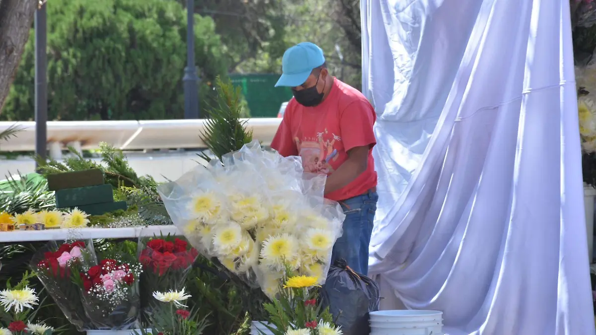 sjr Mantuvieron las trifas