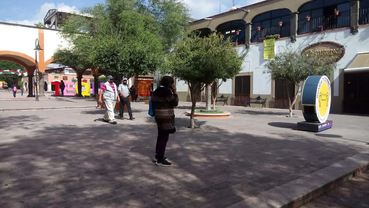 El PVEM se prepara en Tequisquiapan para contar con buenos resultados en las