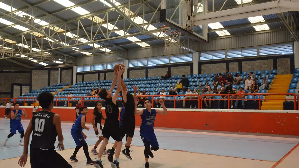 31 01 PRINCIPAL ACCIONES