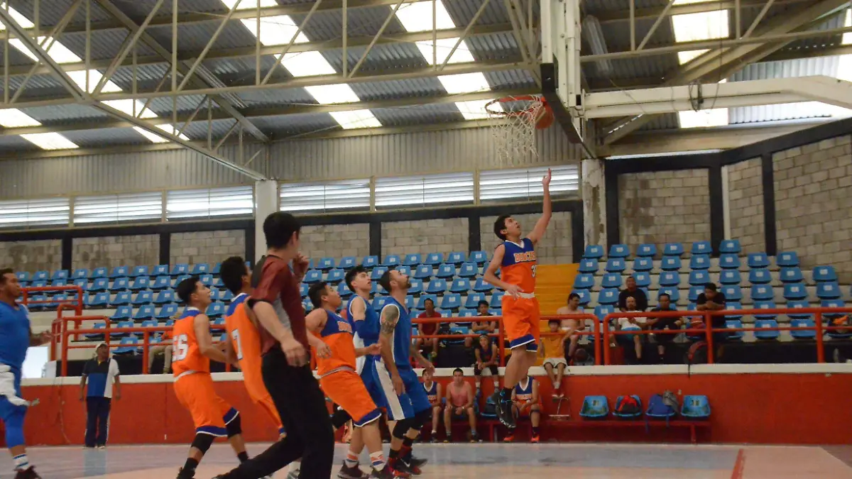 31 01 PRINCIPAL BOBCAT´S