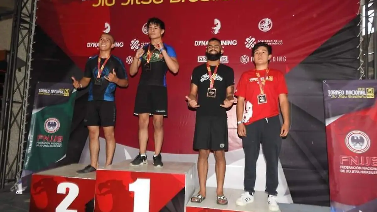 31 01 PRINCIPAL IMPORTANTE