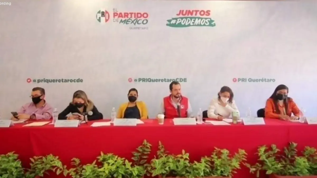 PRI respald_ las propuestas emanadas de los legisladores.  Dolores Mart_nez.