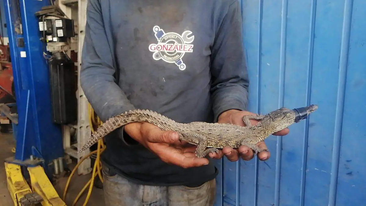 WhatsApp Image 2020-09-08 at 7.11.03 PM