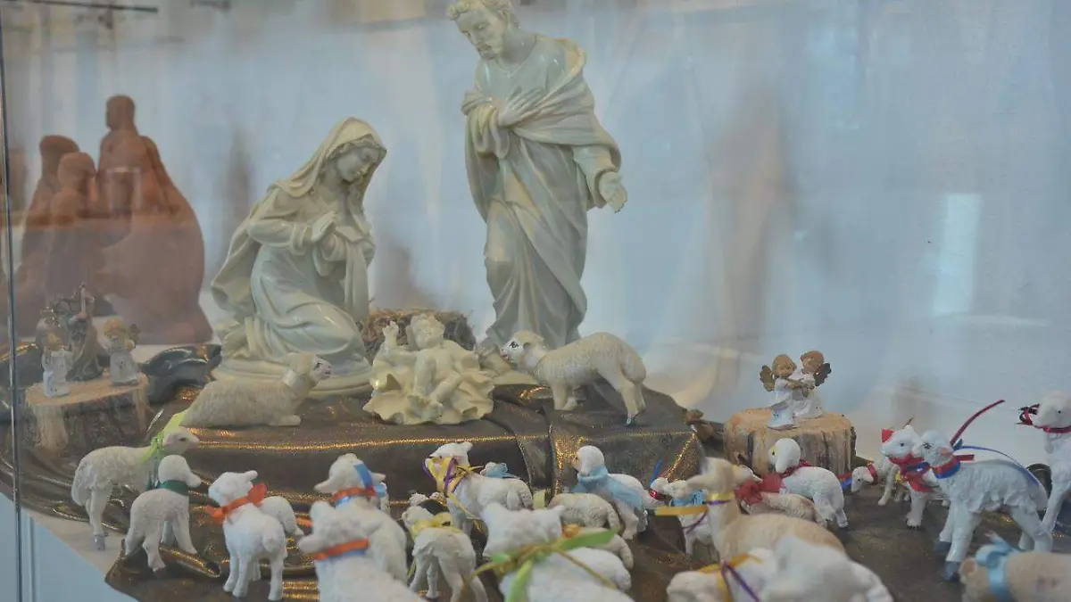 SJR Nacimientos de San Juan del Rio