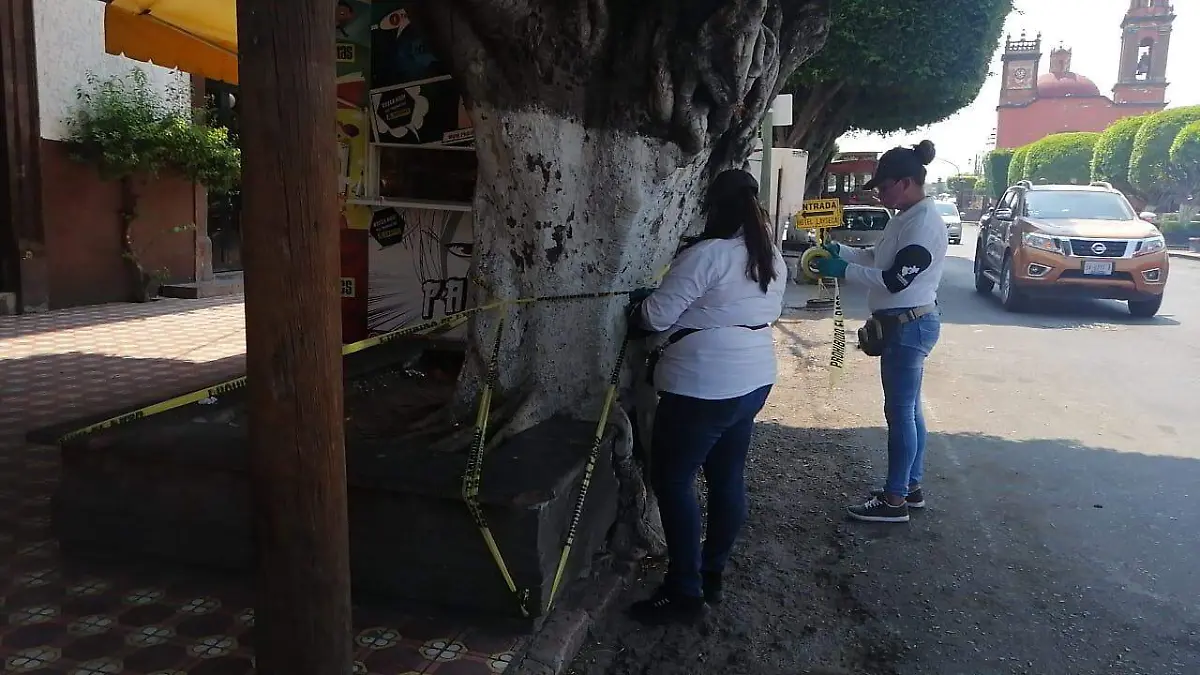 Gobiernos municipales deben reforzar trabajos para que se respeten protocolos de seguridad sanitaria.  Foto Luis Lu_vanos  El Sol de San Juan del R_o.