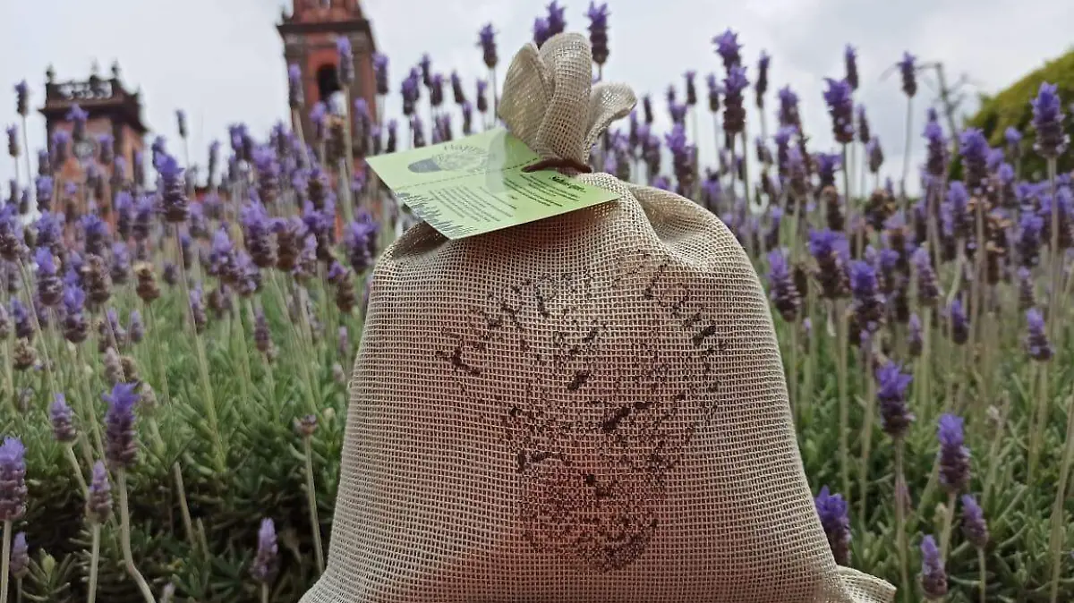 WhatsApp Image 2021-09-23 at 1.08.25 PM