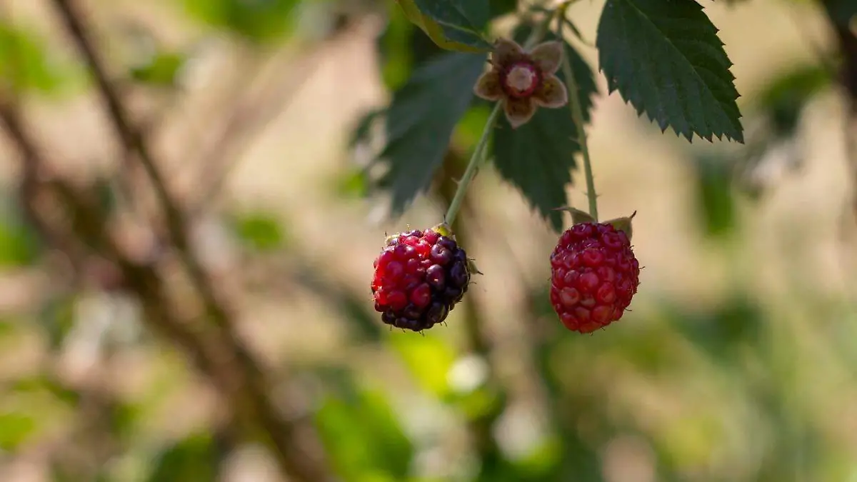 WhatsApp Image 2021-03-21 at 1.27.43 PM