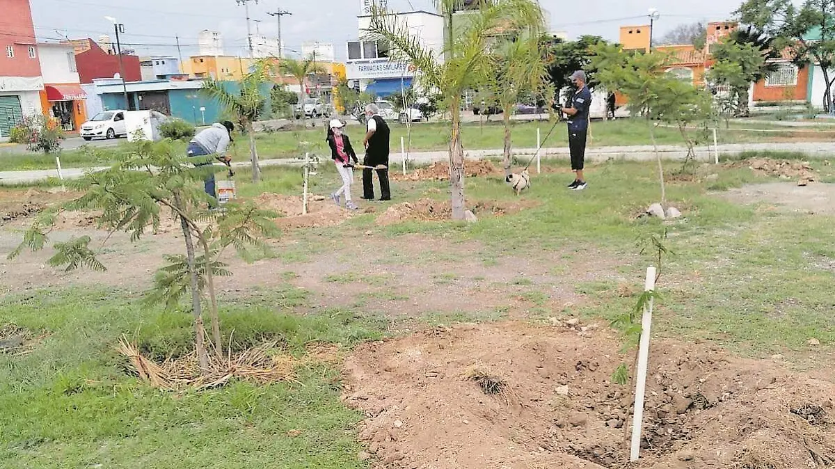 SJR Reforestacion_CMYK