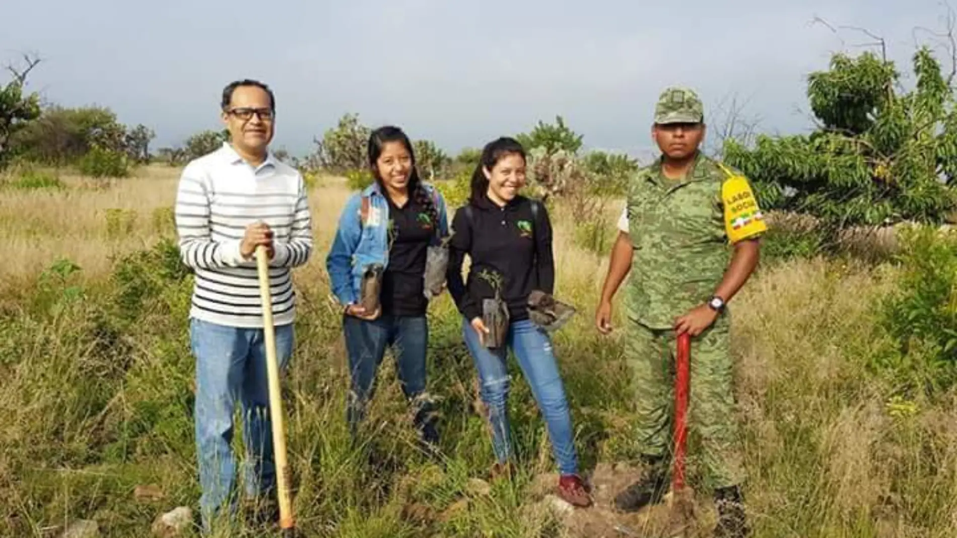 reforestacion