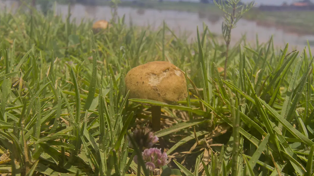 Próximo cierre de temporada será el 14 y 15 de septiembre.  Foto César Ortiz.