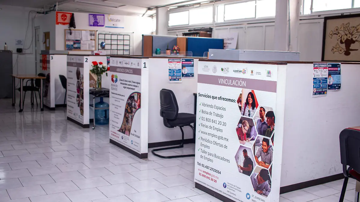 Abrir_n espacios de trabajo en el SNE de San Juan del R_o este pr_ximo martes.  Constanza Escamilla.