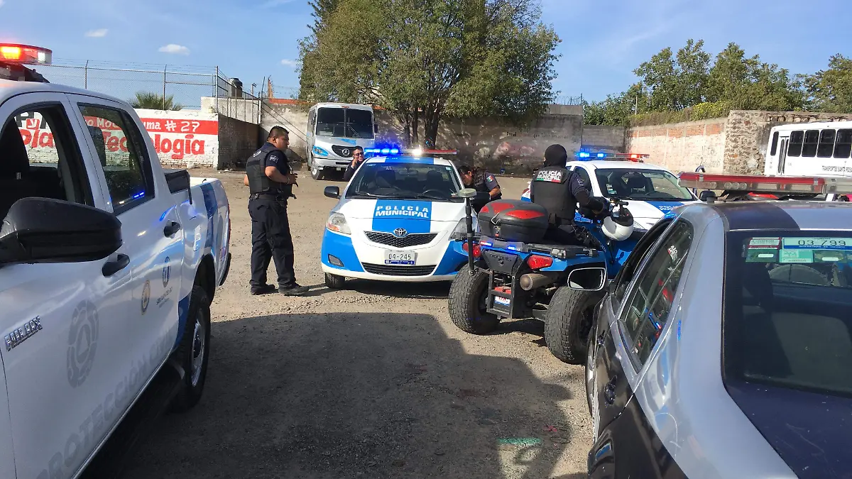 02 DIC ELEMENTOS DE PROTECCION