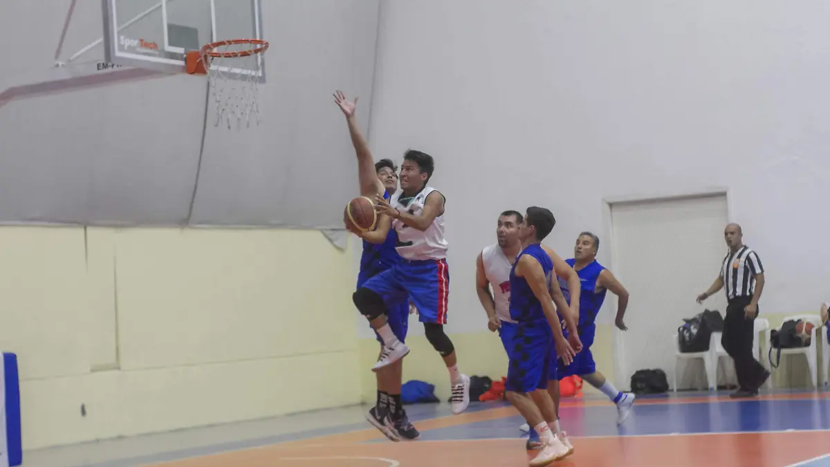 30 01 PRINCIPAL PATRONES