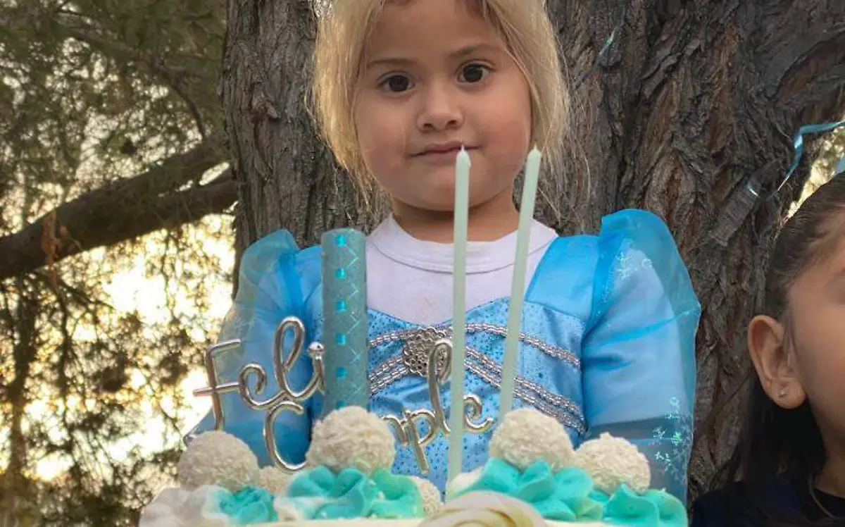 SJR Su pastel de Frozen