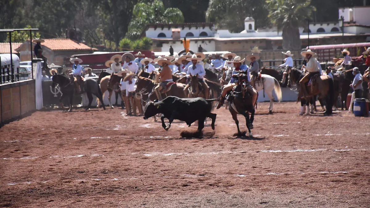 ACCIONES