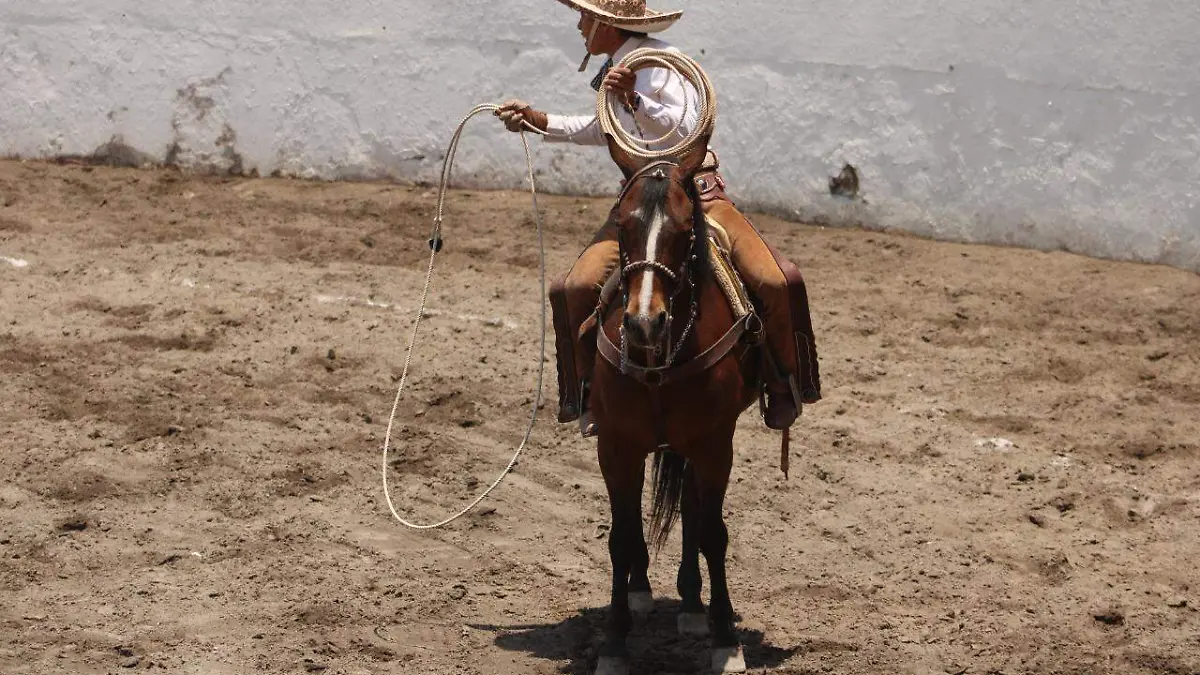 b3ab7e74-da74-4369-90e8-f7cdf915b341