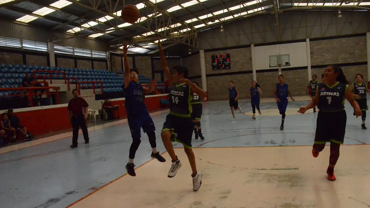 31 01 PRINCIPAL ACCIONES