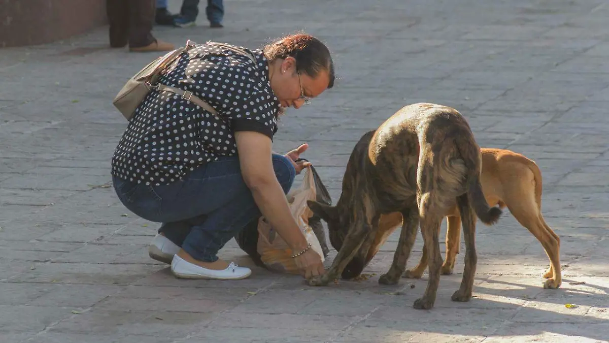 WhatsApp Image 2021-03-21 at 1.28.02 PM