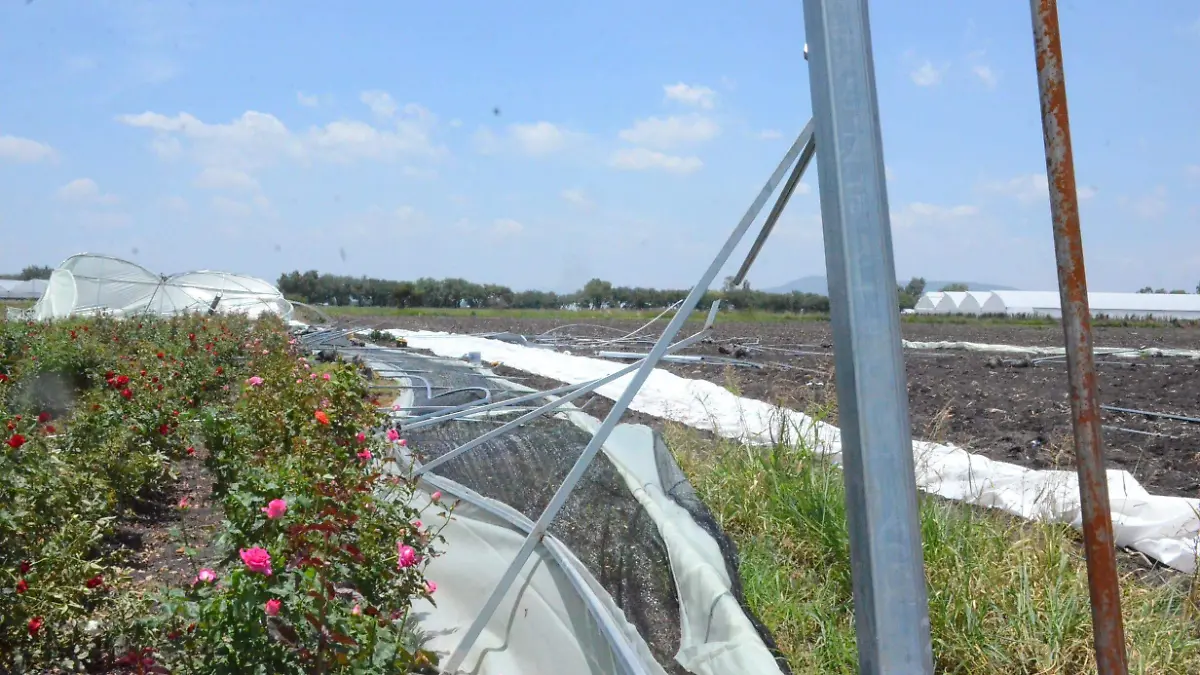 Afectados 14 tuneles y macrotuneles por lluvia, viento y granizo
