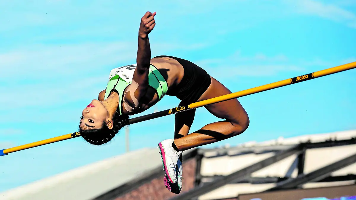 DEP Disciplinas_CMYK