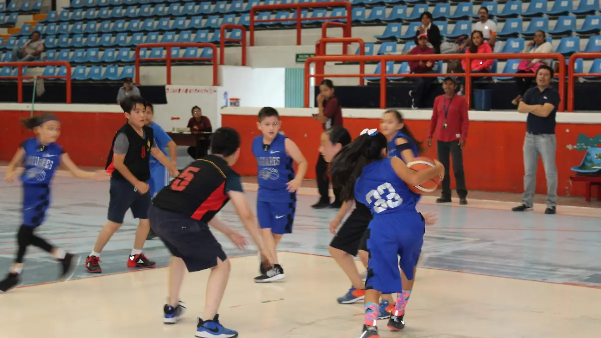 23 03 COMPLEMENTARIA DRAGONES