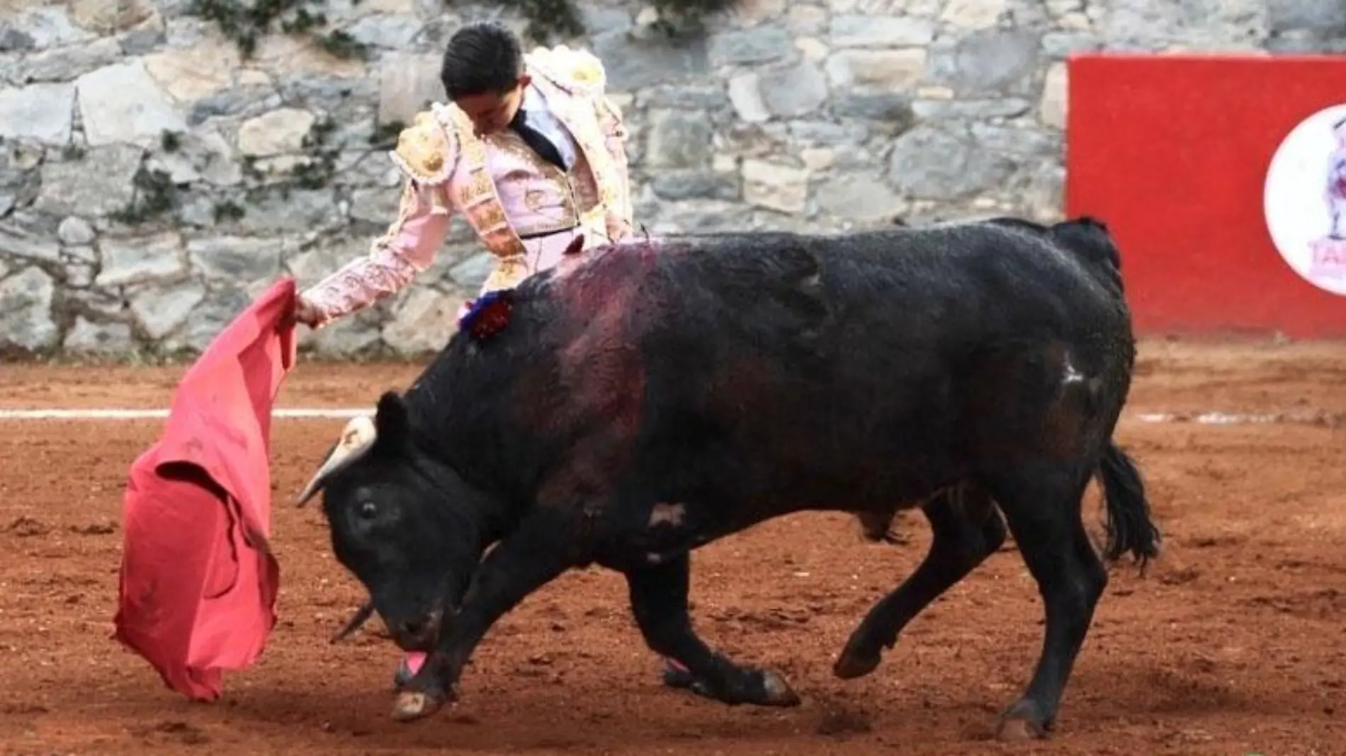 Toros