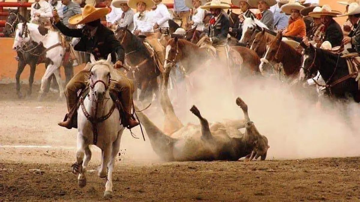 2.- En las diferentes