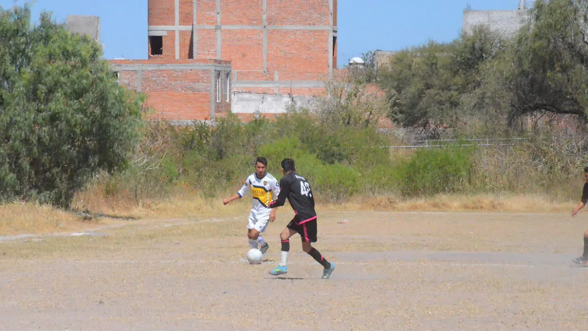 DEP 31 LA JORNADA