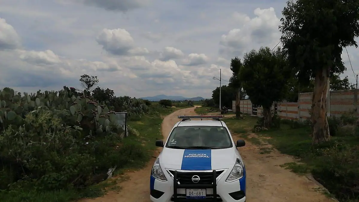 WhatsApp Image 2020-08-20 at 3.46.01 PM