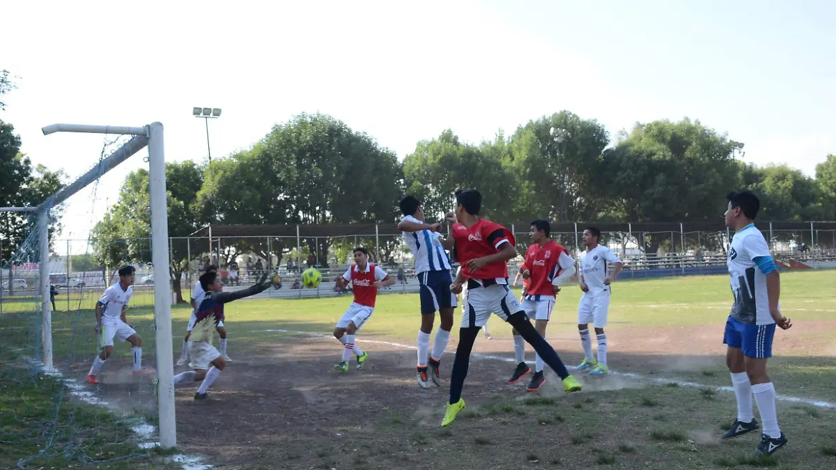 Con el presupuesto prevén dignificar espacios deportivos en los municipios y formar cuadros talentosos.
