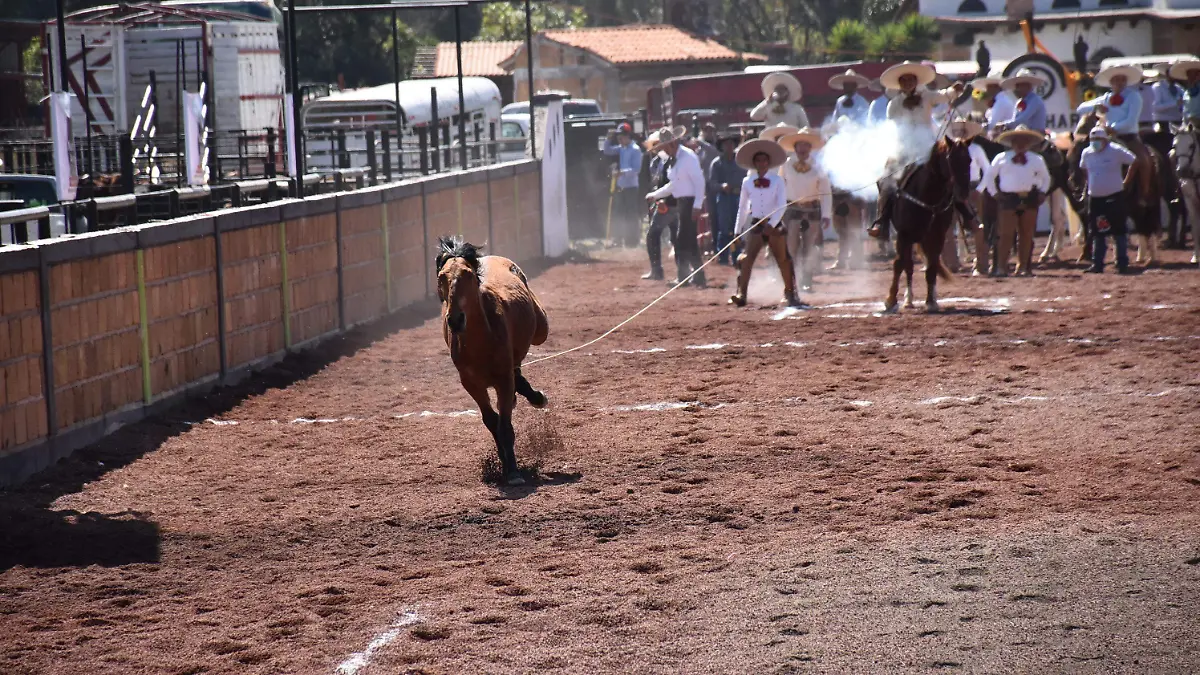 Charros | Torneo
