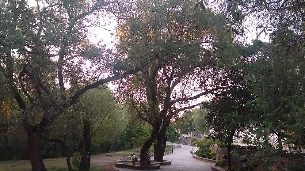 En esta zona es donde se alojan los j_venes que hostigan a las personas que trasitan por el parque.Dolores Mart_nez. El Sol de San Juan del R_o.