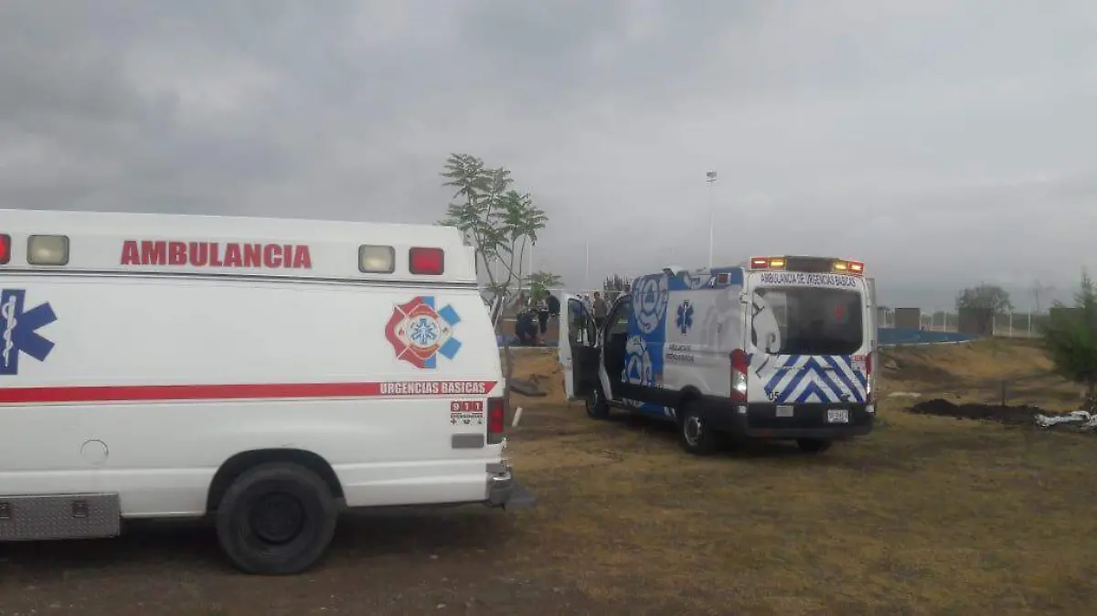 1d1955d7-361a-4374-9d64-153261ede840