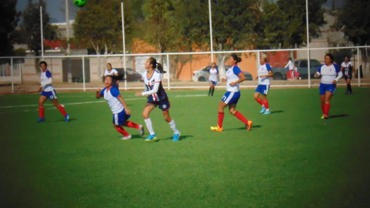DEP- acciones