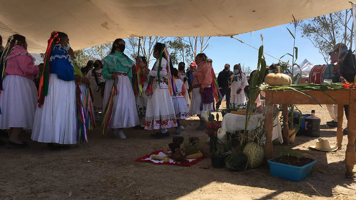 sjr Las pastoras