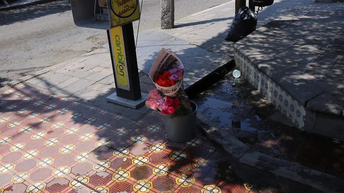 Habrá flexibilidad para la venta de rosas en vía pública este 10 de mayo