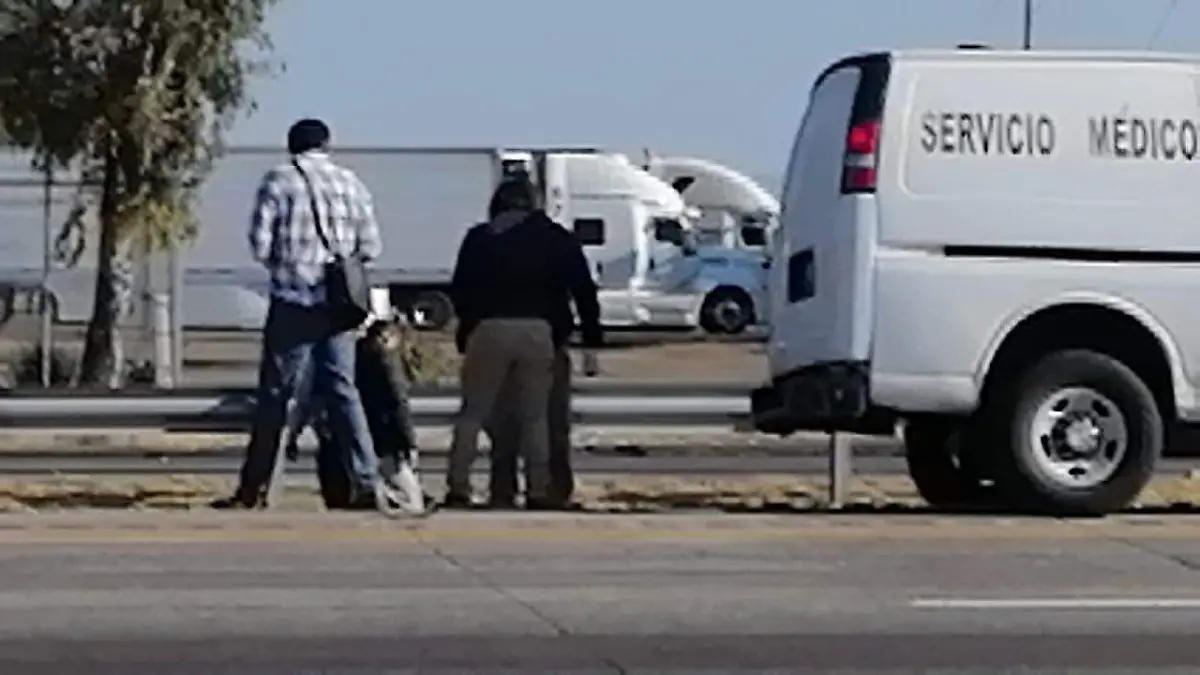 3abd66c6-0607-45b0-8bfd-ad275ee437cd