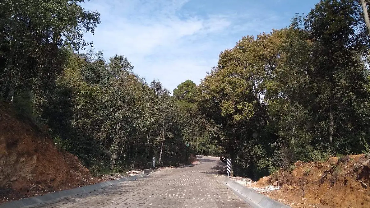 Ciclistas se congregan en las zonas de bosque para correr o bien, andar en bicicleta. Foto Dolores Martínez.