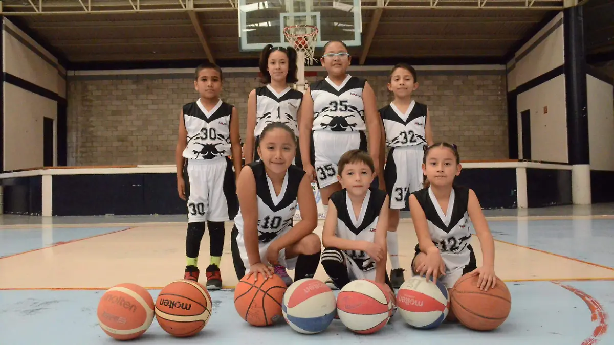 23 01 PRINCIPAL OSOS NEGROS