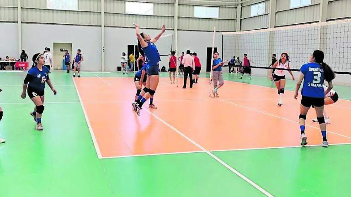 DEP 30 DELFINES_CMYK