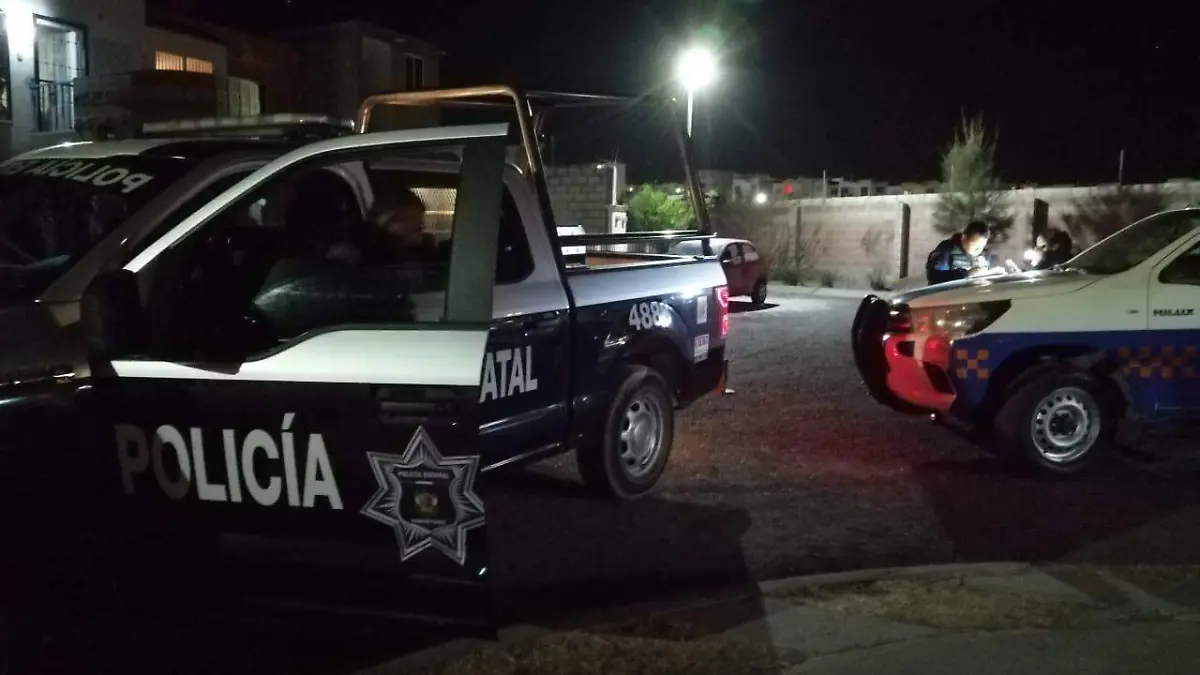 WhatsApp Image 2021-02-22 at 11.21.34 PM