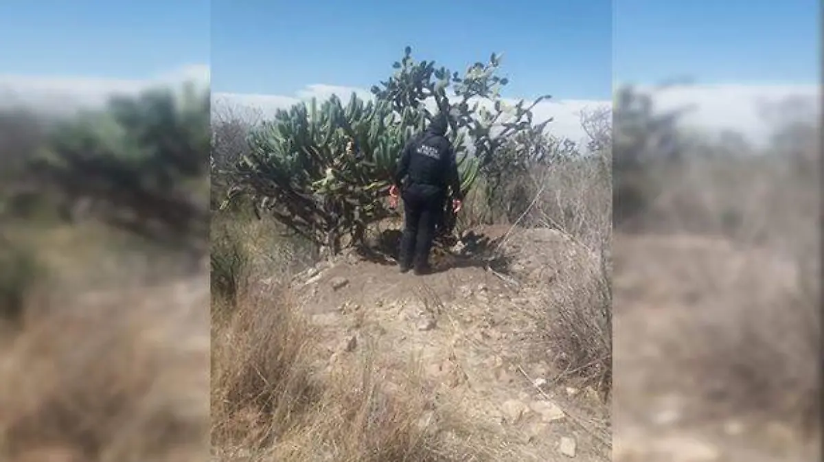 Policías custodian la zona donde se hallaron restos arqueológicos en La Estancia.  Foto Cortesía  El Sol de San Juan del Río.