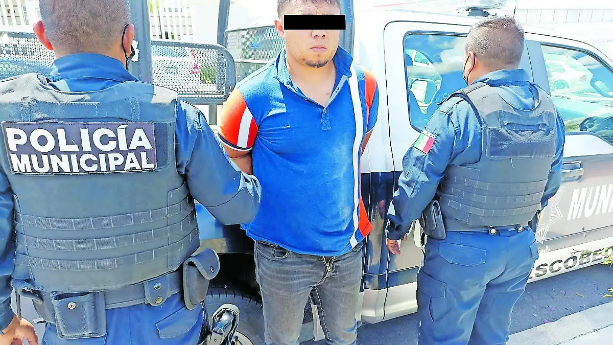 TENIA ANTECEDENTES_CMYK