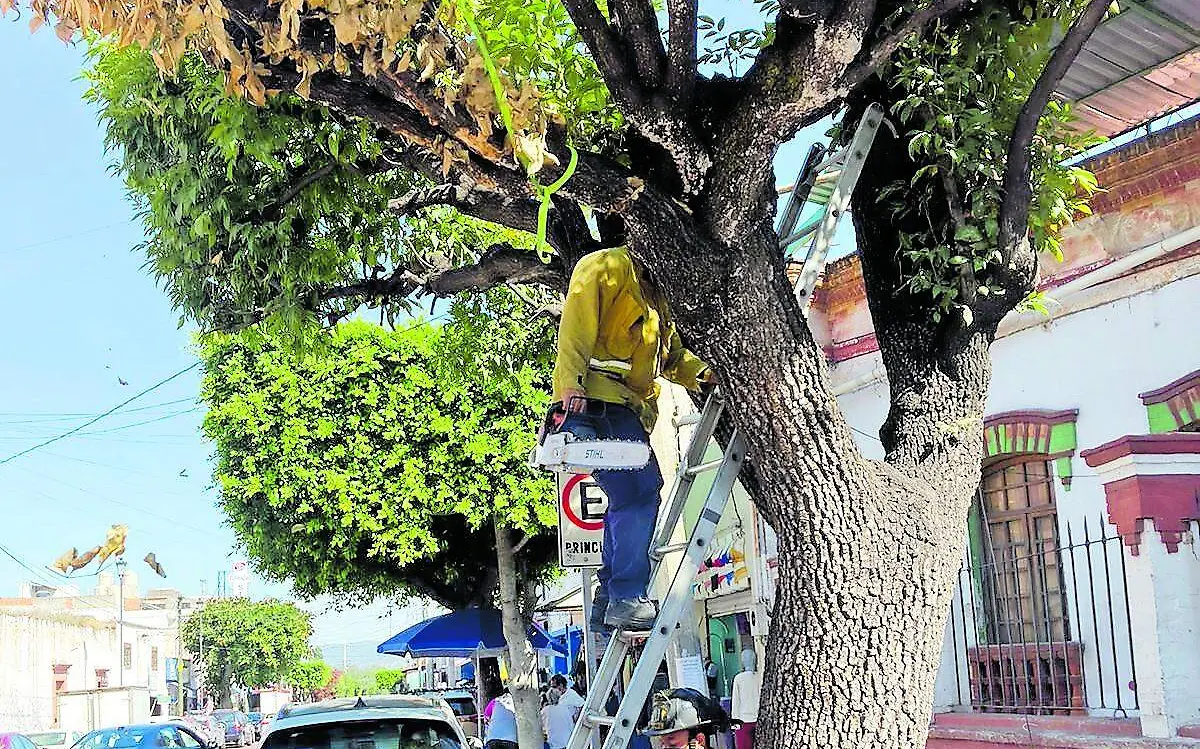 SJR BOMBEORS TRABAJRON_CMYK