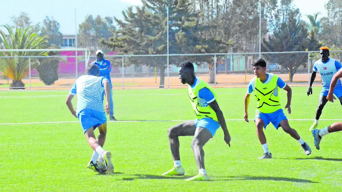 DEP 31 Correcaminos llamaron_CMYK