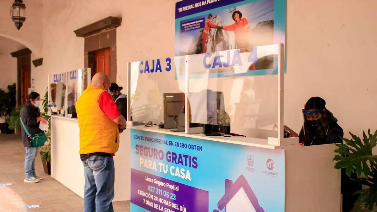 WhatsApp Image 2021-01-02 at 1.05.16 PM