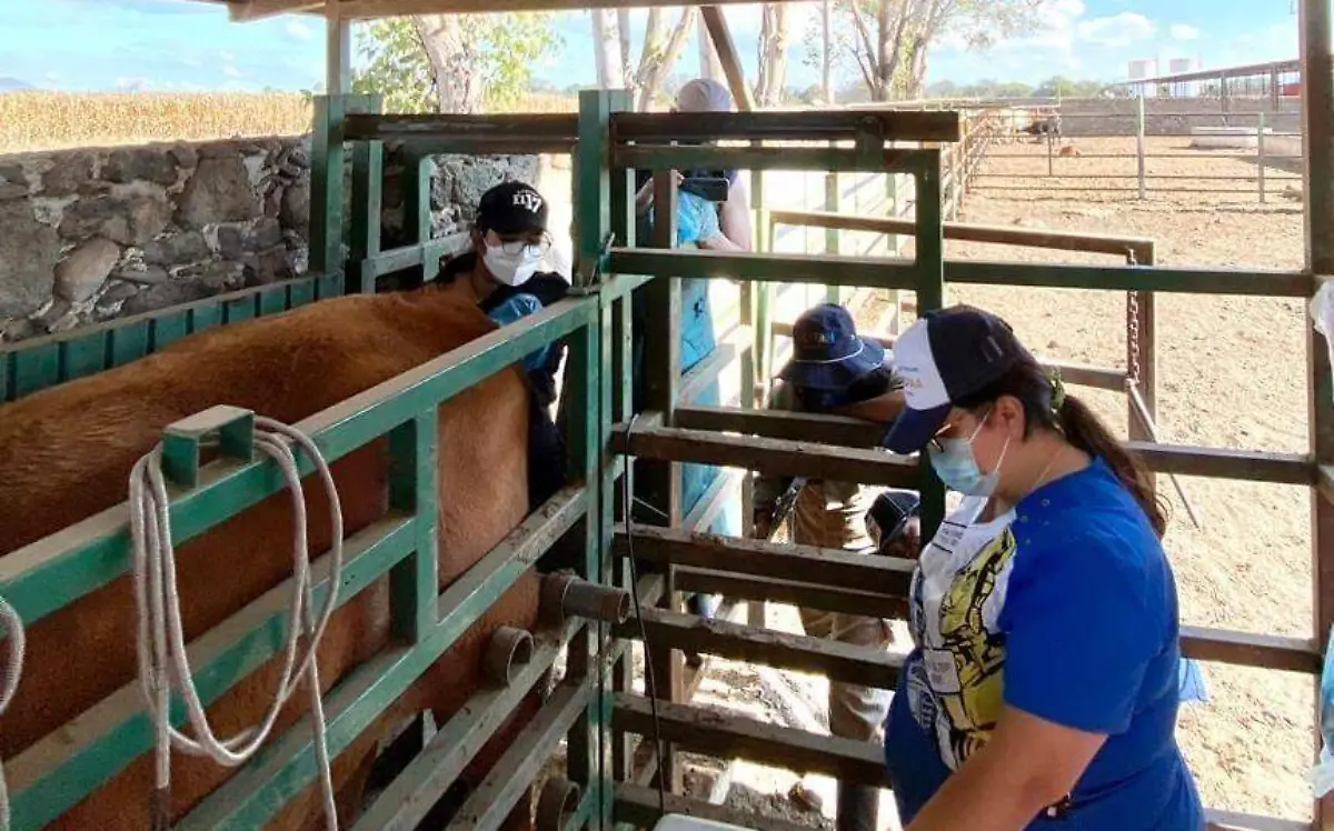 a6496049-5089-48b9-a044-ad8e07000924