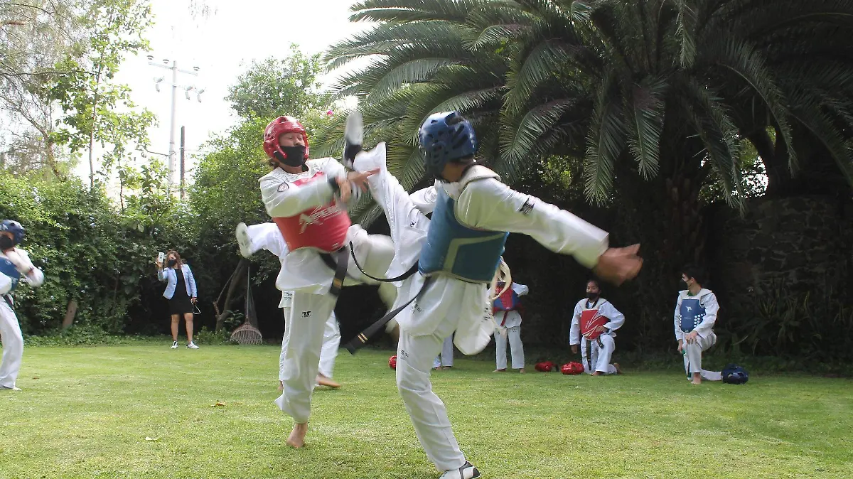 DEP 31 LOS TAEKWONDOINES